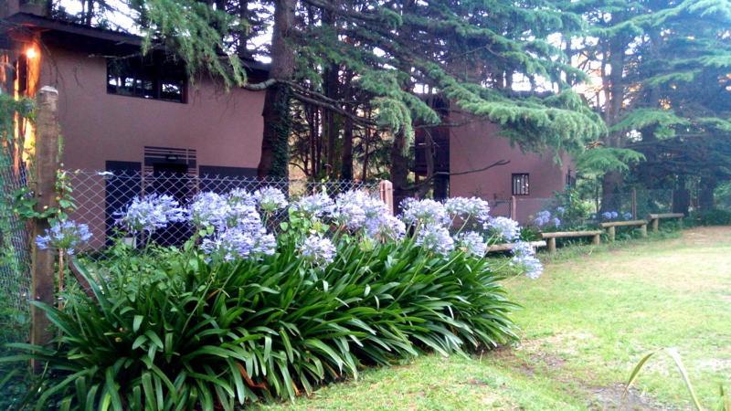 Posta Chimango, Cabanas Frente Al Golf Los Acantilados Mar del Plata Exterior foto
